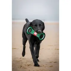 NCAA Nebraska Cornhuskers Field Dog Toy