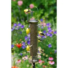 Aspects Quick-Clean Nickel Tube Wild Bird Feeder with 8 Feeding Ports, 1.25qt Seed Capacity