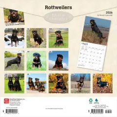 BrownTrout Rottweilers 2026 12"x24" Hanging Square Wall Calendar Plastic-Free
