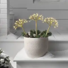 18" LED Gold Starburst Christmas Novelty Sculpture Light Warm White - Wondershop&trade;