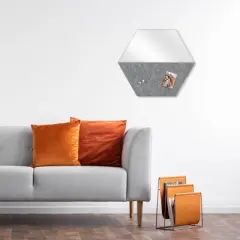 18.5" x 18" Hexagon Mirror Pin Board Presentation Board Gray - Prinz