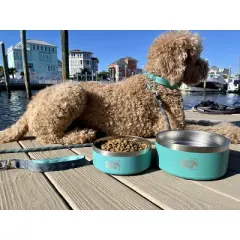 Black Rhino 42 Oz Double Insulated Stainless Steel Dog Bowls - Green