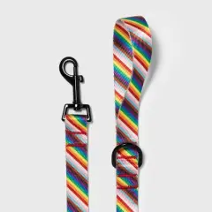 Pride Fashion Dog Leash - 5ft - Boots & Barkley&trade;