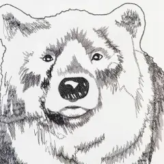 C&F Home Bear Portrait Indoor / Outdoor Embroidered Throw Pillow, 18" x 18"