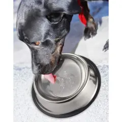 Juvale Stainless Steel Dog Bowls - Set of 2 Large Pet Food and Water Dish Bowls, Ideal for Large Dogs - Silver, 10 In Diameter