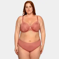 Curvy Couture Women's Plus Size Silky Smooth High Cut Brief Panty