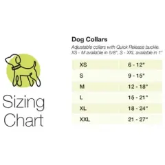 Up Country Birthday Gift Dog Collar - Large (15 to 21 inches) 1 inch Wide Width