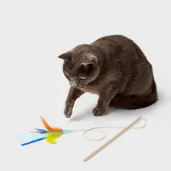 15.6" Feather Wand Cat Toy - Boots & Barkley&trade;