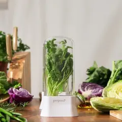 Prepara Herb Savor Eco Fresh Herb Keeper - Compact for Sleek Fridge Storage, BPA Free Plastic - Dishwasher Safe (2-Pack)