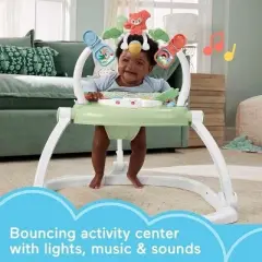 Fisher-Price Baby Bouncer SpaceSaver Jumperoo Activity Center with Lights Sounds and Folding Frame, Puppy Perfection