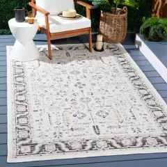 Sunrise SUN627 Flat Weave Area Rug - Safavieh