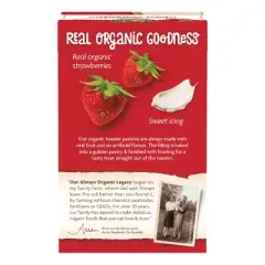 Nature's Path Organic Toaster Pastries Frosted Berry Strawberry - 6ct