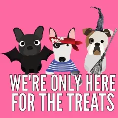 Women's Design By Humans Dog Halloween - We're Only Here For The Treats By PedigreePrints Racerback Tank Top