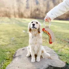 Pavilion Gift Company - Hot Dog - 12.75" Canvas Dog Toy on Rope - Pet Toy