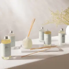 350ml Intention Reed Diffuser Refills - Casaluna&trade;
