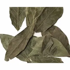 Morel Distribution Co | Dried Avocado Leaves, Hojas de Aguacate Seco, Avocado Leaves Tea: 2 oz