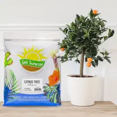 Soil Sunrise Citrus Tree Potting Soil Mix, for Indoor Oranges, Lemons, Limes and More