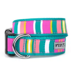 The Worthy Dog Fiesta Stripe Dog Collar