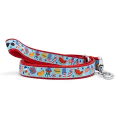 The Worthy Dog Independence Day Pet Leash