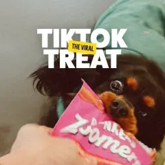 Bonkers Zoomers Chewy Dog Treats with Smoky Bacon Flavor - 5.6oz