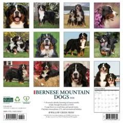 Willow Creek Press 2026 Bernese Mountain Dogs Wall Calendar