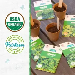 Back to the Roots 5pk Organic Herb Seeds Variety
