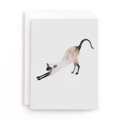 20ct Blank Cards Morning Yoga