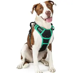 rabbitgoo Dog Harness No Pull with 2 Leash Clips, Control Handle for Large Dogs, Black & Turquoise, L