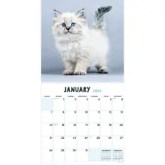 TF Publishing 2024 Wall Calendar 12"x12" Kittens