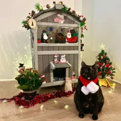 Aivituvin Outside Insulated Cat House for Winter| Soft Liner Inside| Two Storey-AIR94-IN