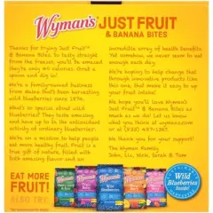 Wyman's Just Fruit Frozen Wild Blueberries Strawberries and Banana Bites - 4ct/9.2oz