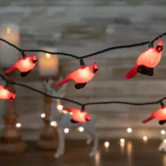 Northlight Cardinal Indoor Outdoor Patio Light Set - 6' Green Wire - 10ct