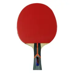 Butterfly Timo Boll CF 1000 Racket