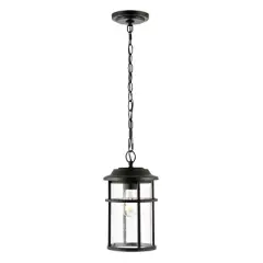 Cianna 5" Outdoor Pendant - PLT4016 - Black - Safavieh