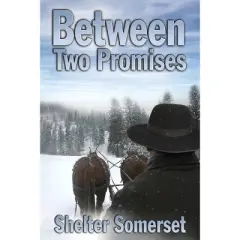 Between Two Promises - (Between Two Worlds) by  Shelter Somerset (Paperback)