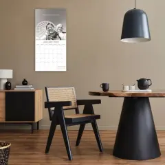 2026 Square Wall Calendar, Wrinkly Wit, 16-Month Funny Corner Theme with 180 Reminder Stickers (12x12 In)