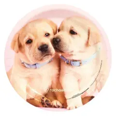 Rachael Hale Glamour Dogs Dessert Plate