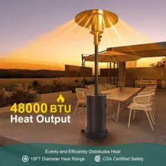 Patio Heater, Propane Stainless Steel Patio Heater With Wheels, Outdoor Propane Heaters for Backyard,Garden,Patio,Porch and Pool