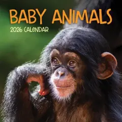 TF Publishing 13.5"x14.5" 2026 Baby Animals Wall Calendar