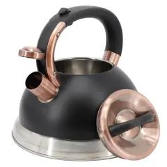 Mr. Coffee Flintshire 2.2 Quart Stainless Steel Whistling Tea Kettle