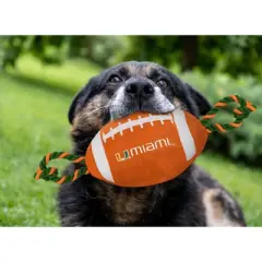 NCAA Miami Hurricanes Nylon Football Dog Toy