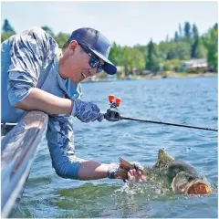 Glacier Glove Abaco Bay Fingerless Sun Gloves