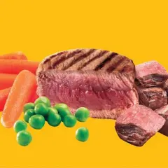 Pedigree Grilled Beef Steak & Vegetable Flavor Puppy Growth & Protection Complete & Balanced Dry Dog Food - 14lbs