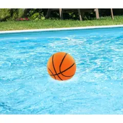 Botabee 5.9'' Swimming Pool Water Mini Basketball - 2 Pack