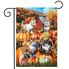 Briarwood Lane Fall Garden Flag 12x18 For Outdoor Pumpkin Patch Cats For Fall Garden Flag Flags For Outside
