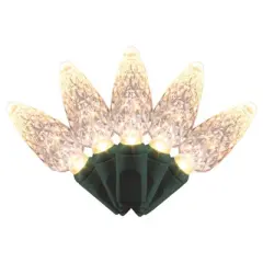 Celebrations Platinum LED C6 Warm White 50 ct String Christmas Lights 25 ft. (Case of 12)