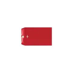 LUX 6 x 9 Clasp Envelopes 250/Pack Ruby Red (87881-250)
