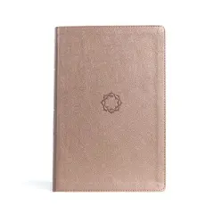 KJV Essential Teen Study Bible, Rose Gold Leathertouch - by  Holman Bible Publishers (Leather Bound)