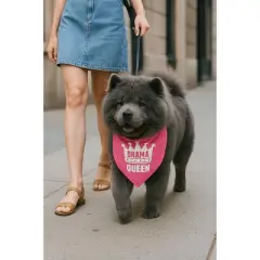 Parisian Pet 'Drama Queen' Bandana for Dogs & Cats - Fashionable, Comfortable, Fun Pink Dog & Cat Bandana, Trendy Pet Accessory