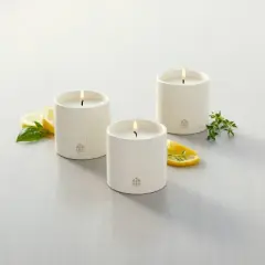 9oz Basil/Lemon/Thyme Speckled Ceramic Kitchen Candle Set - Hearth & Hand&trade; with Magnolia